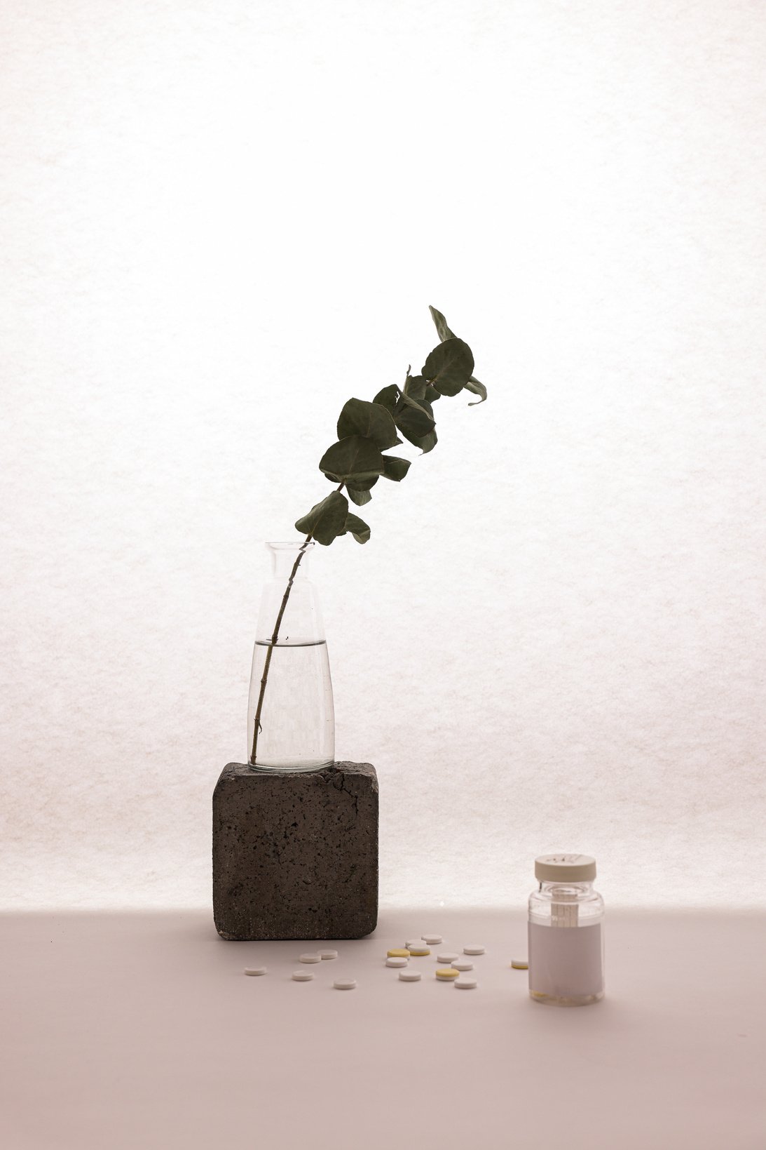 Pills Scattered next to Eucalyptus Branch in a Vase